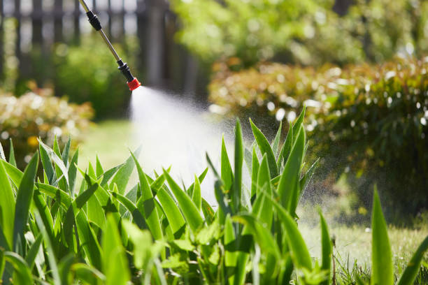 24/7 Emergency Fumigation Services experts in Powdersville, SC