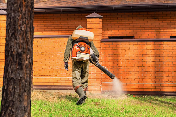 Trusted Bed Bug Control service in Powdersville, SC - Nex Pest Control